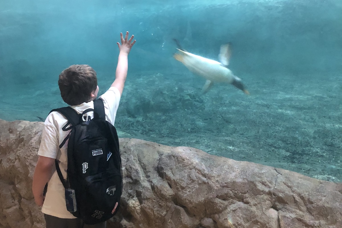 AusflugZoo5
